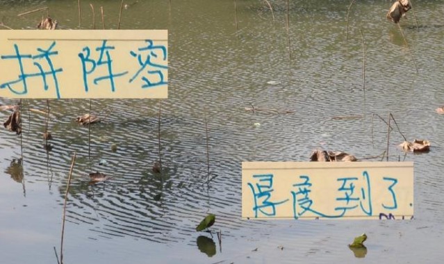 拼阵容血厚时候到了！申花 北京国安 都有外援国脚打世预赛 我